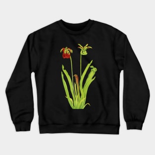 Sweet Pitcherplant - Sarracenia Rubra- Walcott - Botanical Illustration Crewneck Sweatshirt